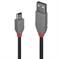 CABLE USB2 A TO MINI-B 2M/ANTHRA 36723 LINDY