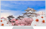 TV Set|HITACHI|55"|4K/Smart|3840x2160|Wireless LAN|Bluetooth|Android|55HK5300W