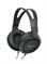 HEADPHONES RP-HT161E-K/PANASONIC