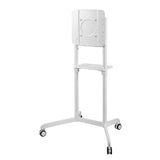 TV SET ACC FLOOR STAND/37-70" NS-M1250WHITE NEOMOUNTS