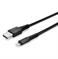 CABLE USB-A TO LIGHTNING 2M/REINFORCED 31292 LINDY