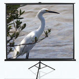 Elite Screens Tripod Series T120NWV1 Diagonal 120 ", 4:3, Viewable screen width (W) 244 cm, White