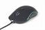 MOUSE USB OPTICAL ILLUMINATED/MUS-UL-02 GEMBIRD