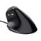 MOUSE USB OPTICAL BAYO ERGO/24635 TRUST