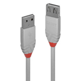 CABLE USB2 TYPE A 0.2M/ANTHRA 36710 LINDY