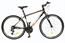 BICYCLE 28" MTB WX300 BK/ORANG/GRAY 8681933421432 WHISPER